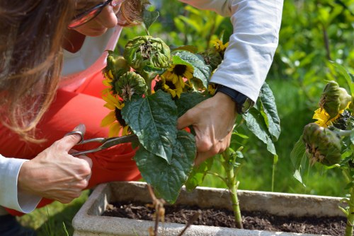 Volunteer using screen reader and navigation features at a gardening event